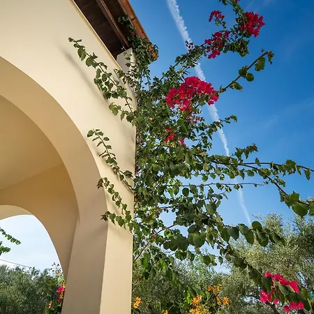 Apartament Olga Vasilikí